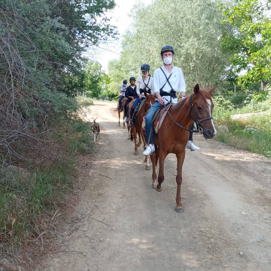 Safari At Çiftliği