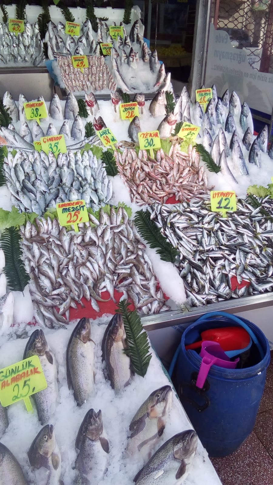 Dalyan balikcilik balik restoran turbeyolu fotoğraf 2
