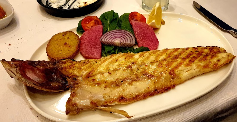 Ege fotoğraf 3
