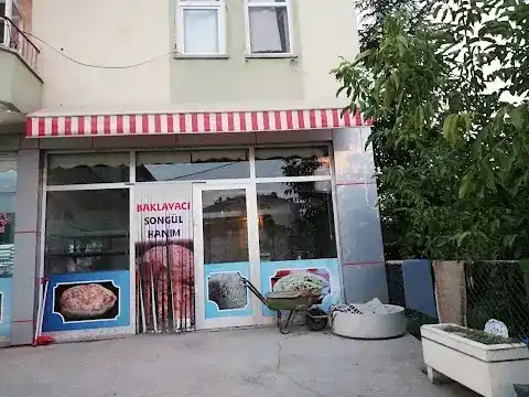 Baklavacı Songül Hanım