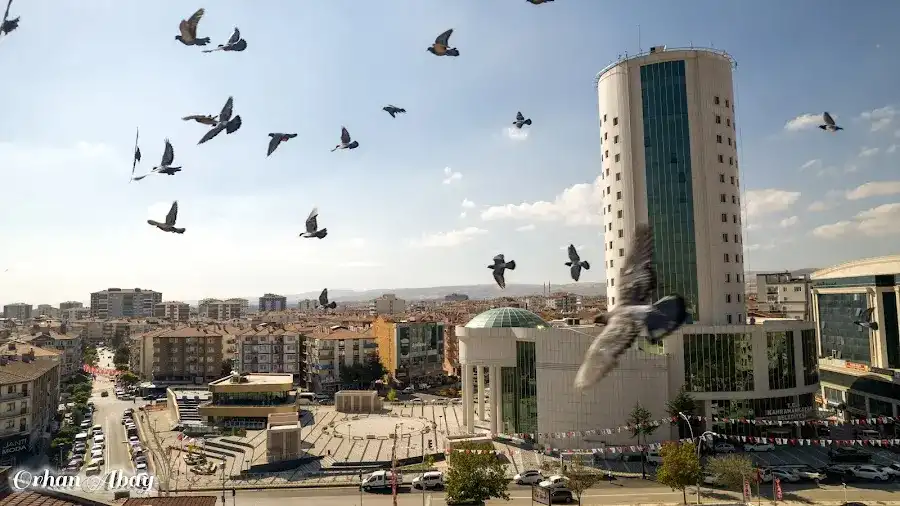Kahramankazan Belediyesi fotoğraf 3