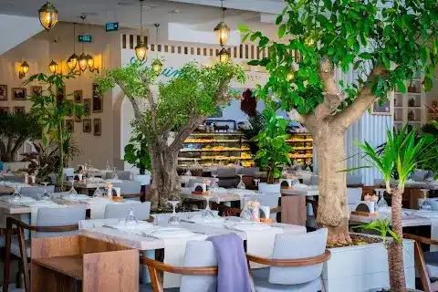 Guide to Top Meyhane Spots in Ankara for an Authentic Evening Experience