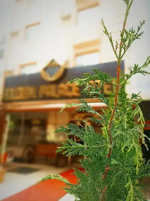 MİRAÇ GOLDEN PALACE HOTEL POLATLI