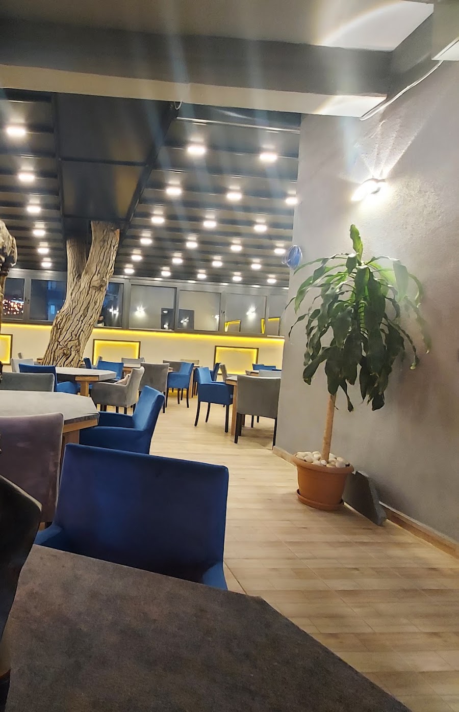 Olympus Kafe fotoğraf 3