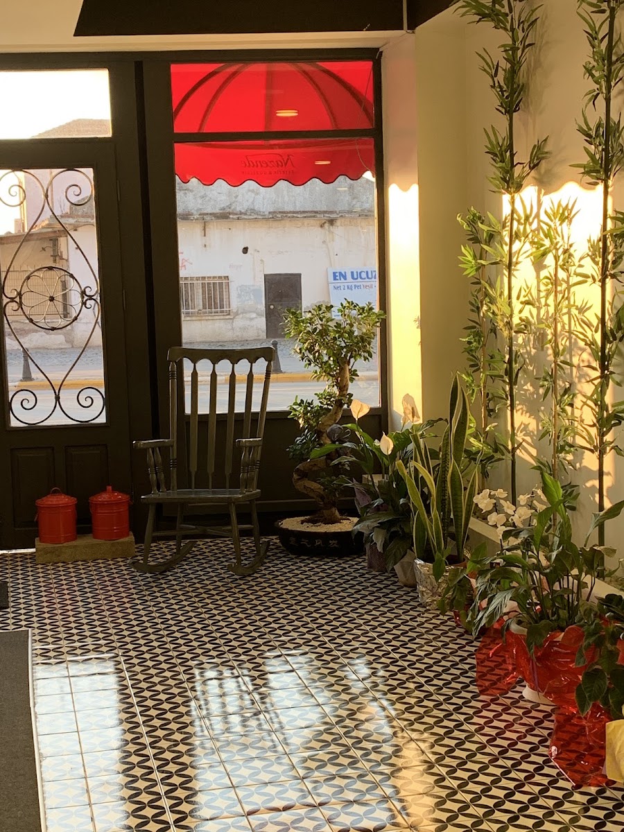 Nazende Güzellik fotoğraf 3