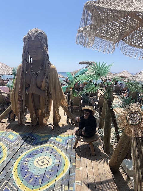 One Life Beach Sarımsaklı