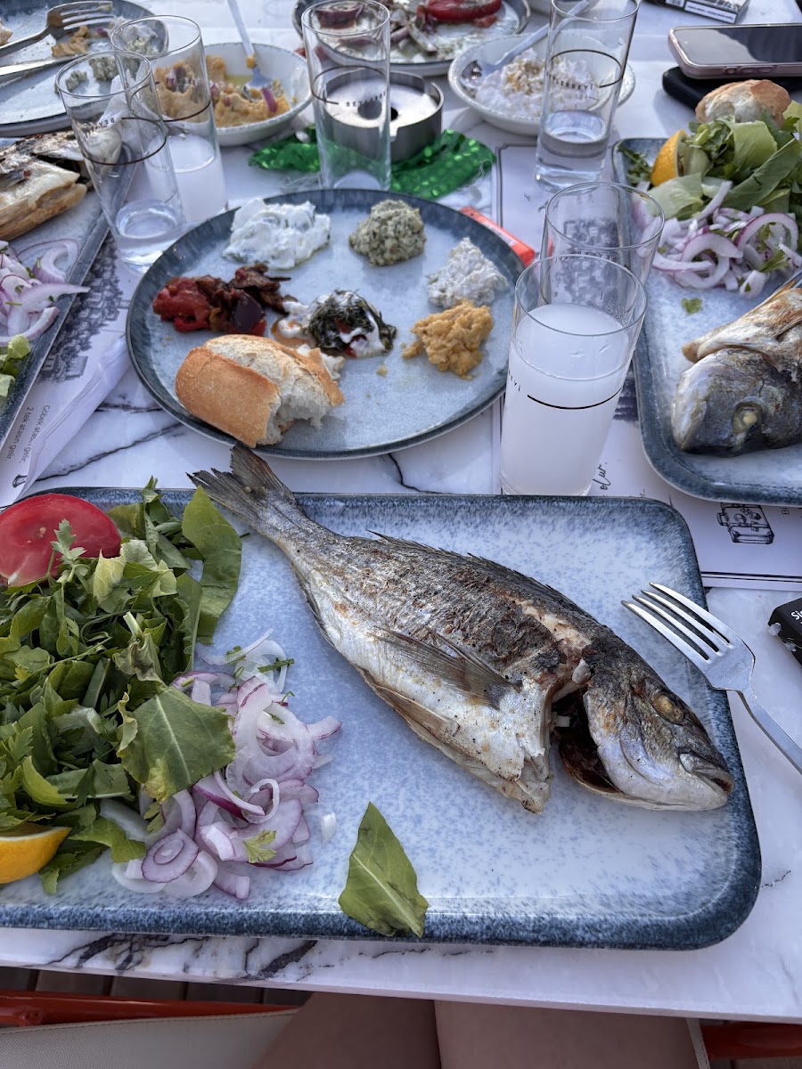 Vesile Yeni Nesil Meyhane fotoğraf 2