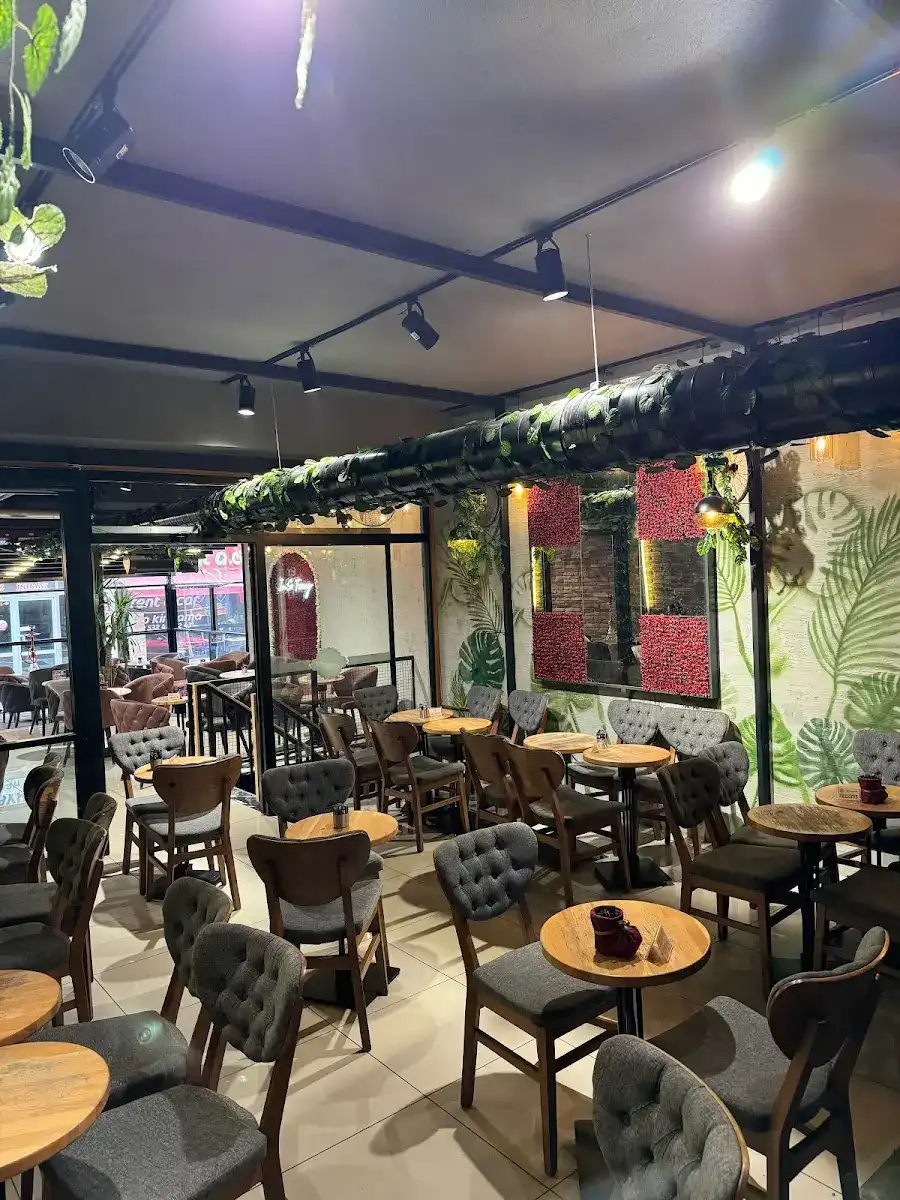 Daily Dose Cafe fotoğraf 3