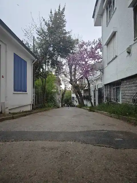 HAYAL PANSİYON BÜYÜKADA