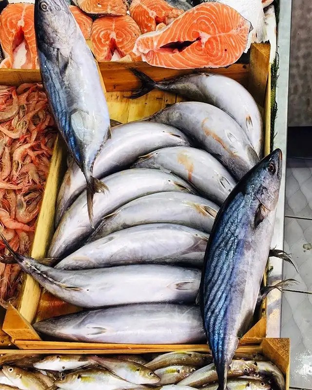Balıkçı Metin Arnavutköy fotoğraf 2