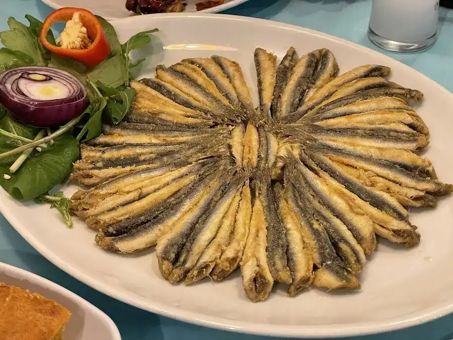Zara Zargana Balık fotoğraf 3