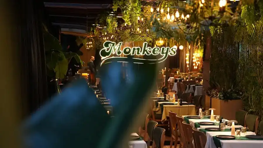Monkeys Büyükçekmece fotoğraf 2