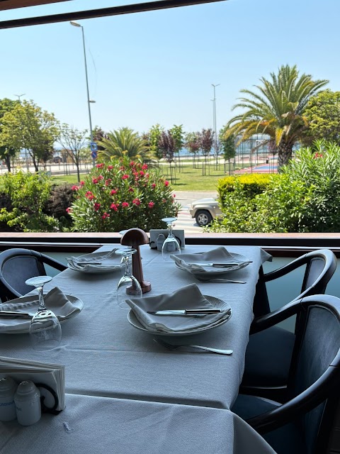 Çatana Balık