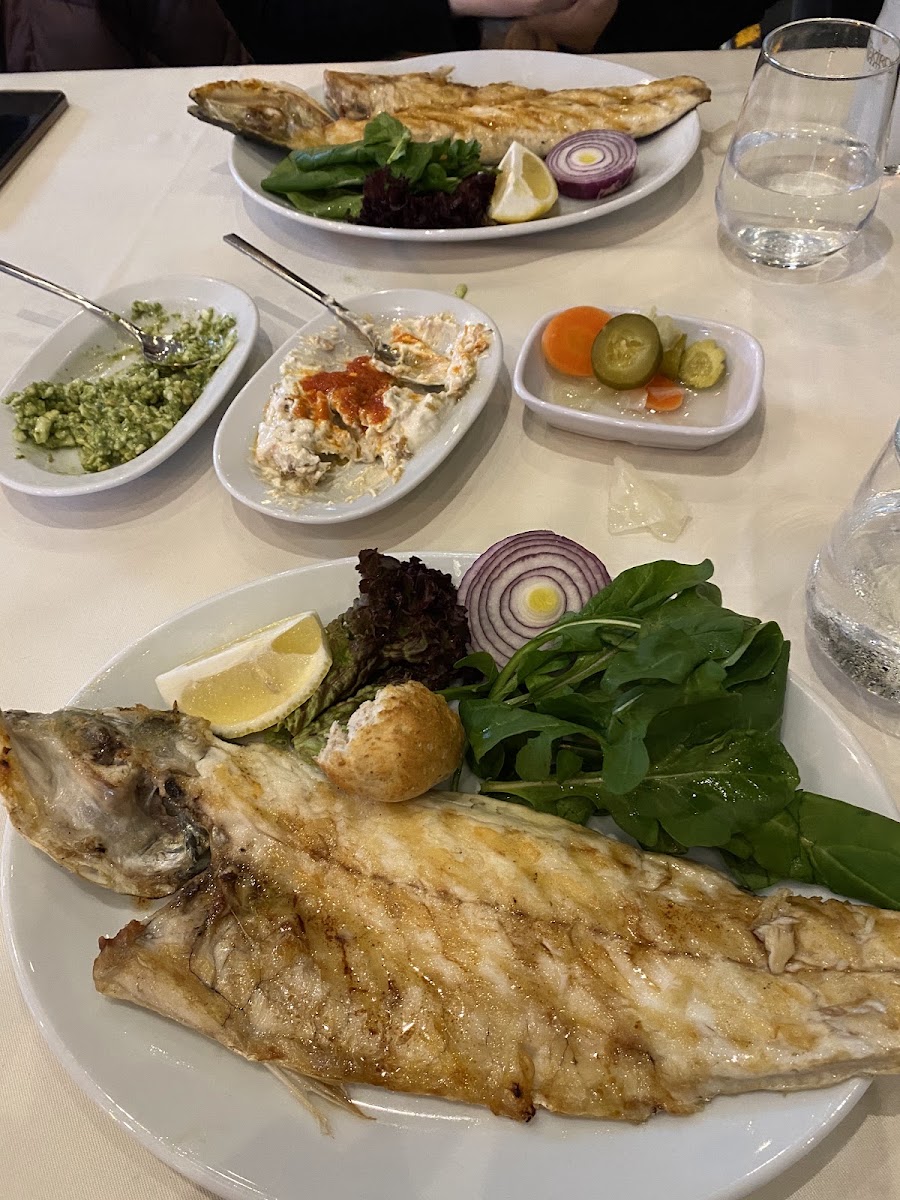 Suadiye Balık fotoğraf 2