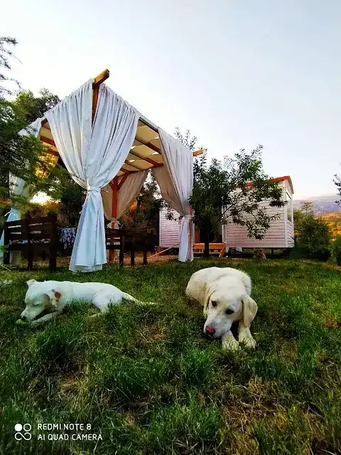 Hayal Tadında Glamping & Restaurant