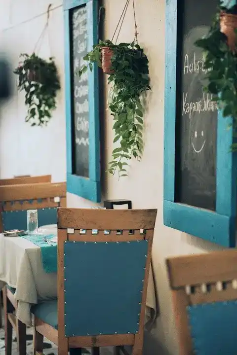 Rakı Balık Ayvalık İzmir
